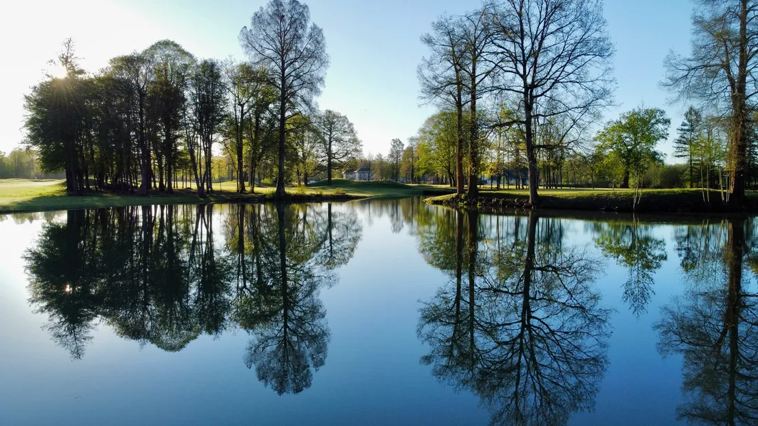 Plan d'eau du parcours au lever du jour, arbres centenaires en reflet